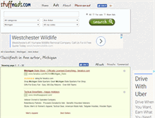 Tablet Screenshot of annarbor.stuffnads.com